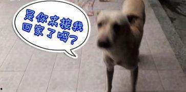 每天看娱乐吃瓜的说说