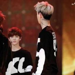 all鹿娱乐圈,揭秘明星幕后故事，带你走进璀璨星光世界