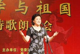 杜宁林娱乐,揭秘明星幕后故事，畅享娱乐盛宴
