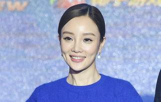 瓜子脸明星,美丽轮廓下的璀璨星光